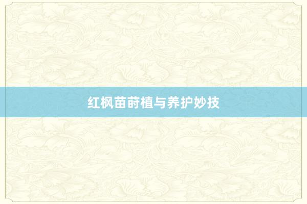 红枫苗莳植与养护妙技