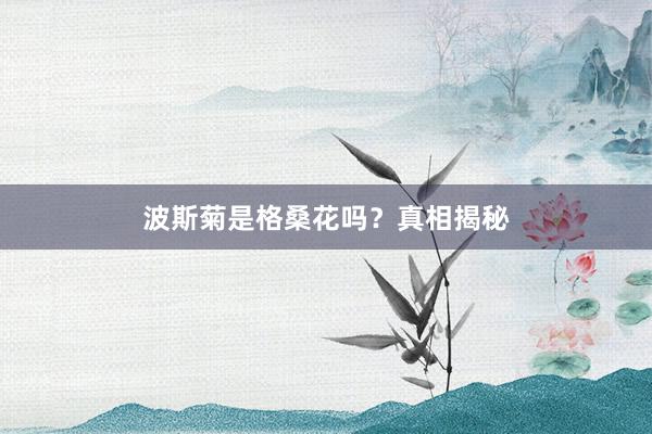 波斯菊是格桑花吗？真相揭秘