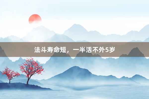 法斗寿命短,一半活不外5岁