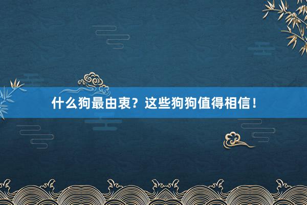 什么狗最由衷？这些狗狗值得相信！