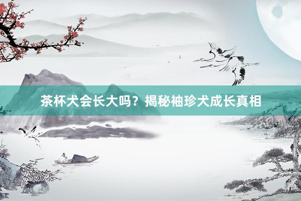 茶杯犬会长大吗？揭秘袖珍犬成长真相
